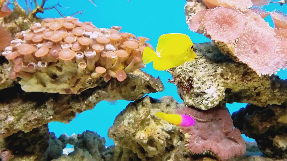 Photograph by Ирина Корнева