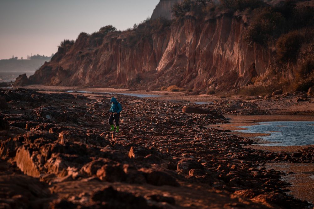 Исследователь Марса / Mars Explorer