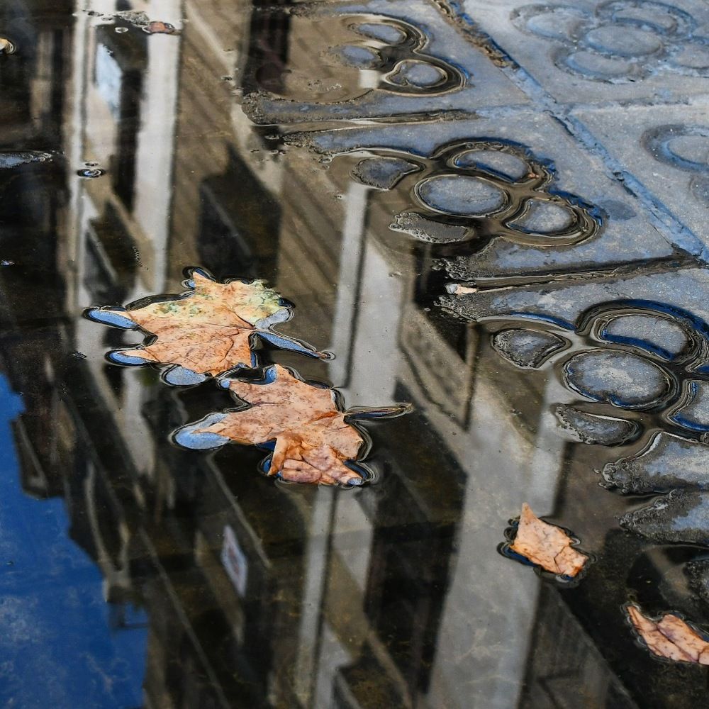 Зеркало осени