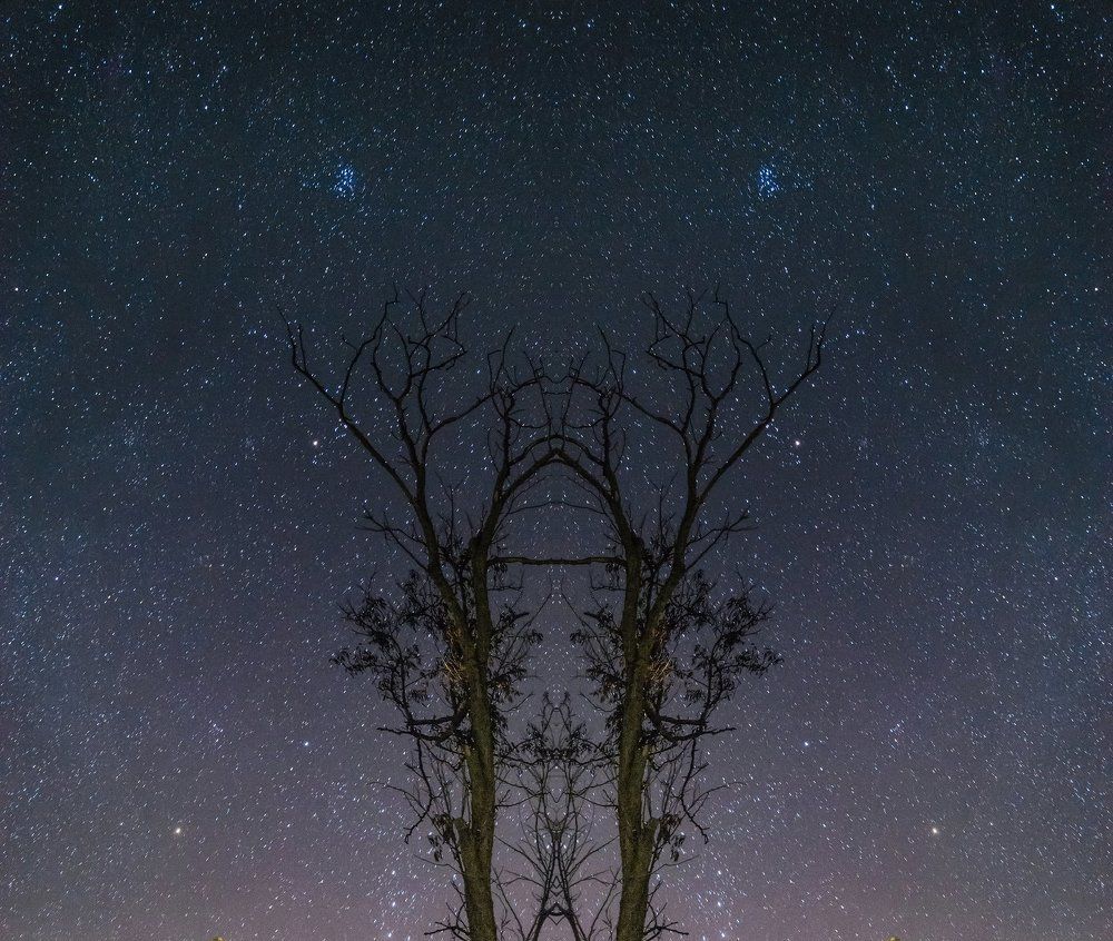 К ЦАРИЦАМ МЛЕЧНОГО ПУТИ.