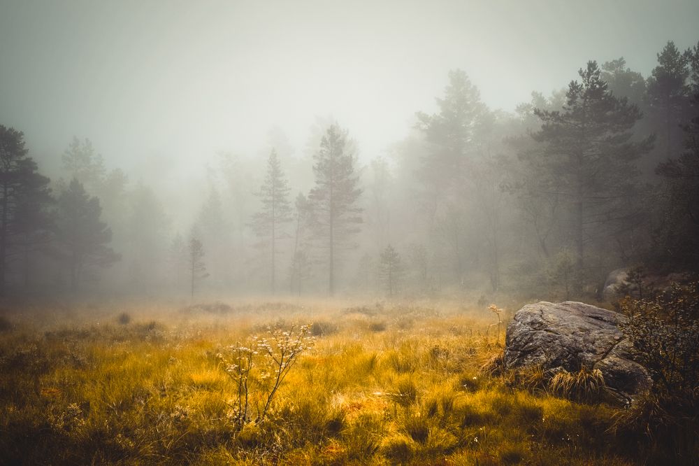 Trolls are watching you