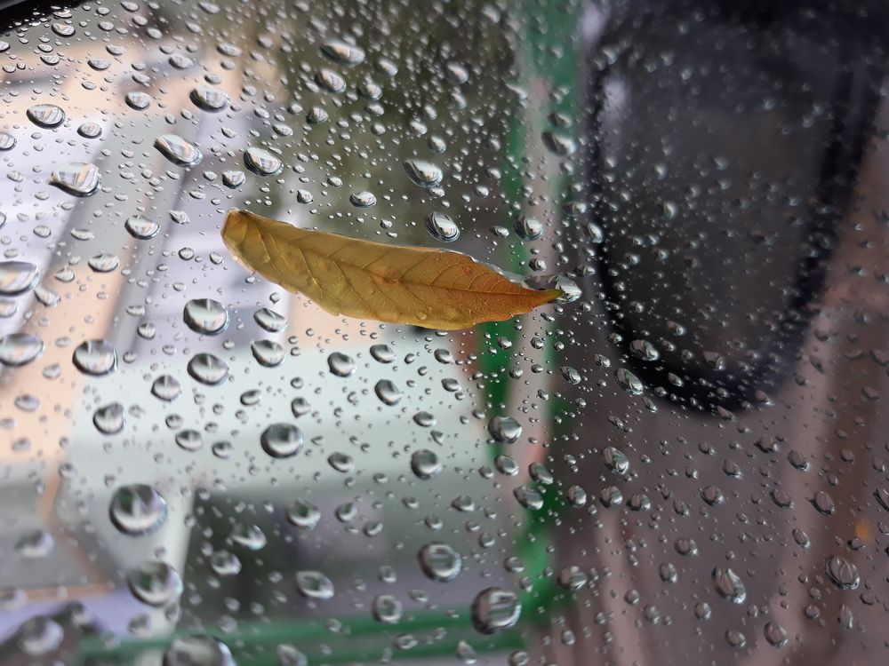 Осенний поцелуй