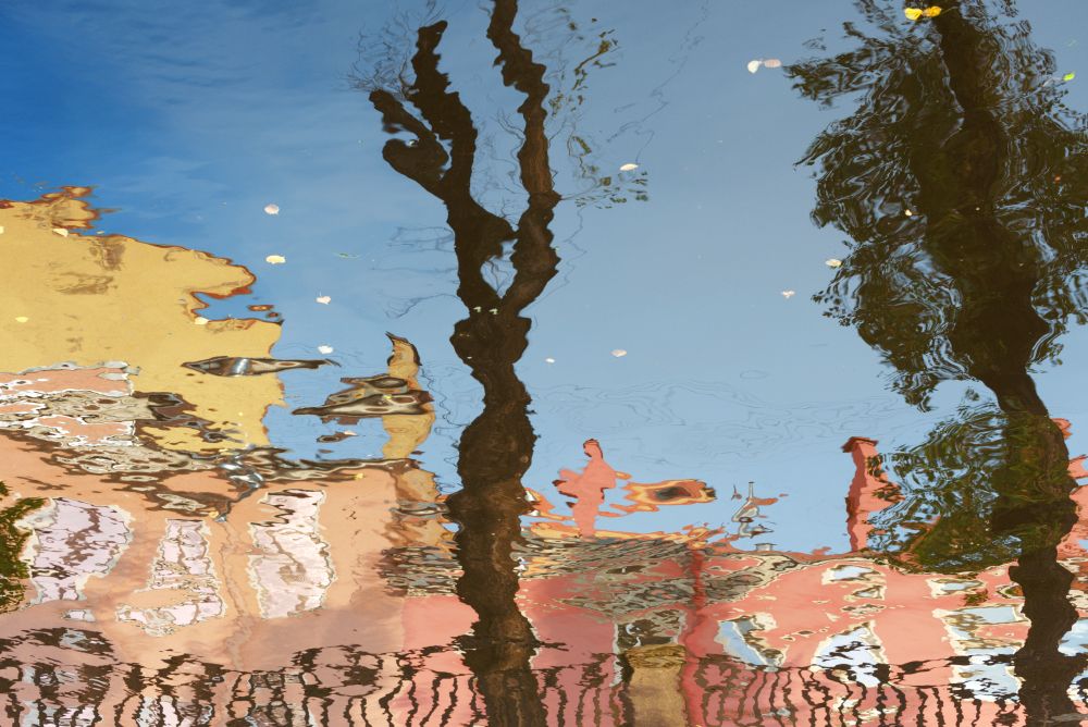 Удивлённый лось.Осенние отражения.