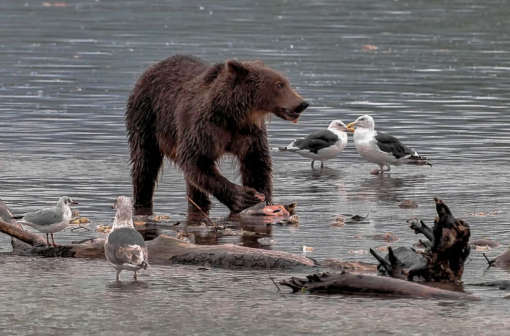 Не поделюсь.