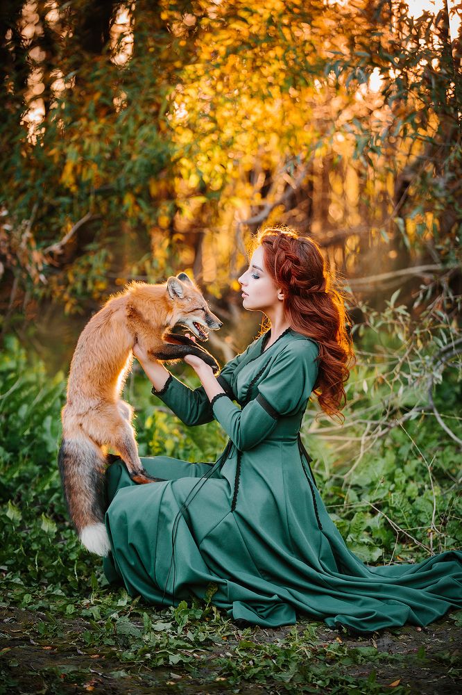 Two foxes