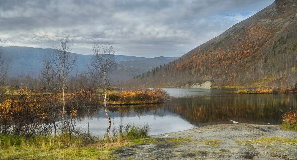 У тихого Вудъявра