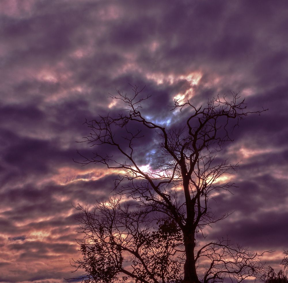 Photograph by Сергей