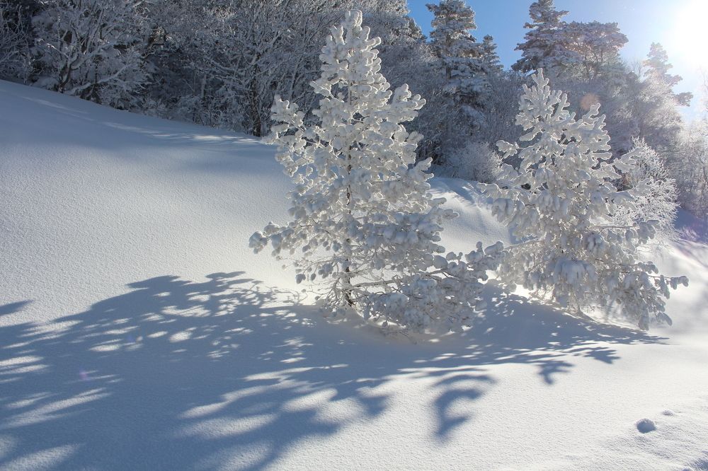 Photograph by Олег Ермоленко
