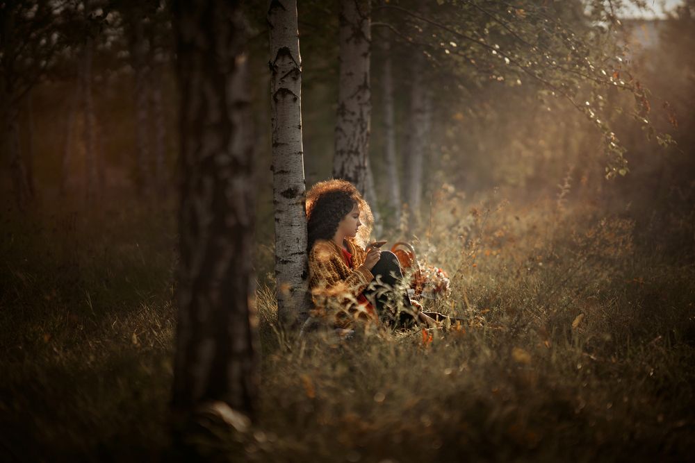 Осенний свет