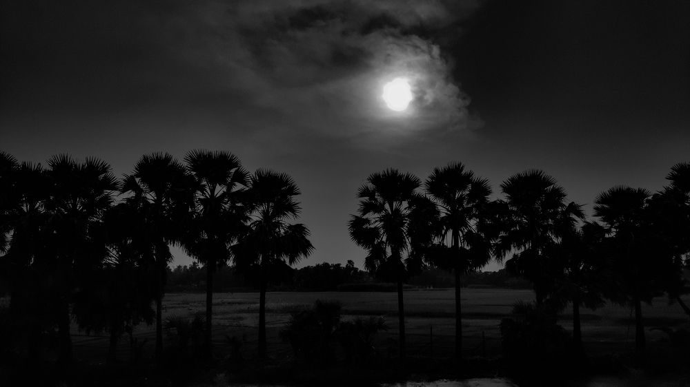 The power of monochrome