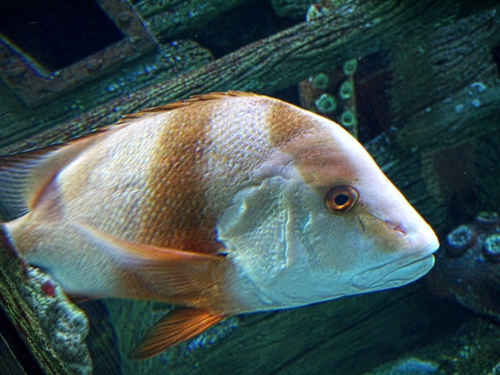 Photograph by Егор Охрименко