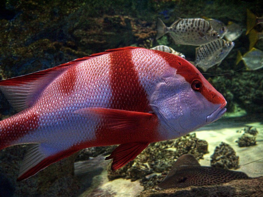 Photograph by Егор Охрименко