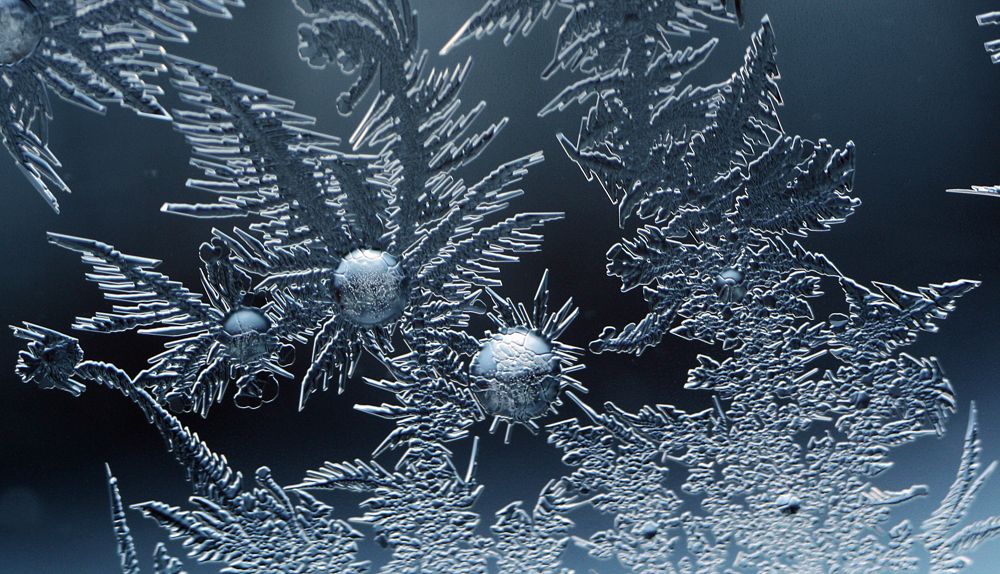 Ледяные цветы.