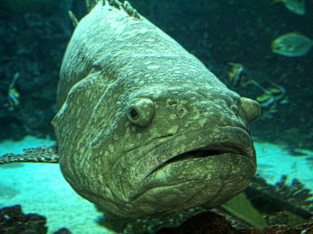 Photograph by Егор Охрименко