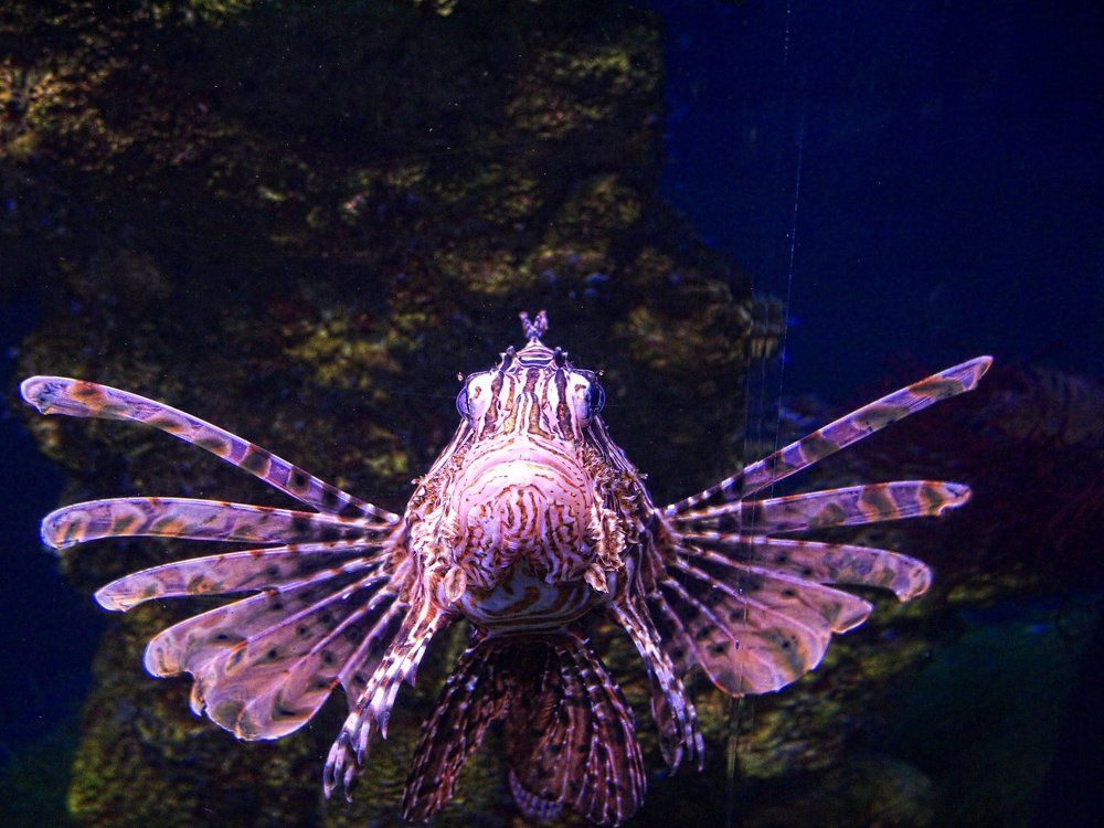 Photograph by Егор Охрименко