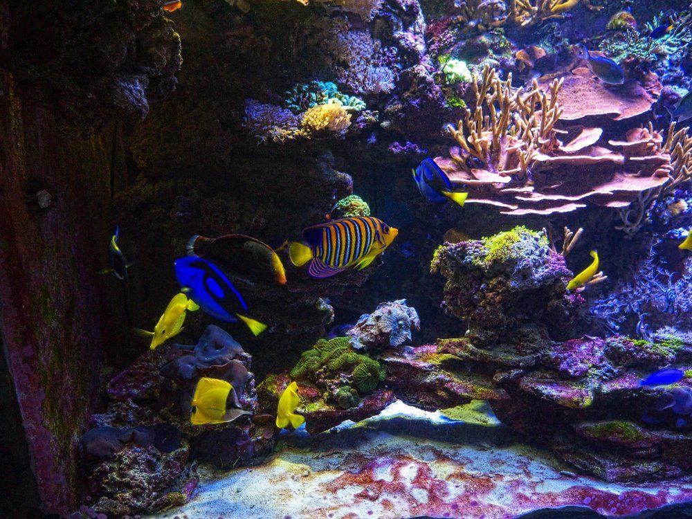 Photograph by Егор Охрименко