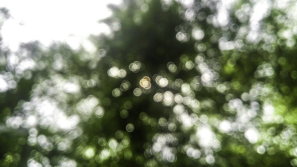 circlekeh