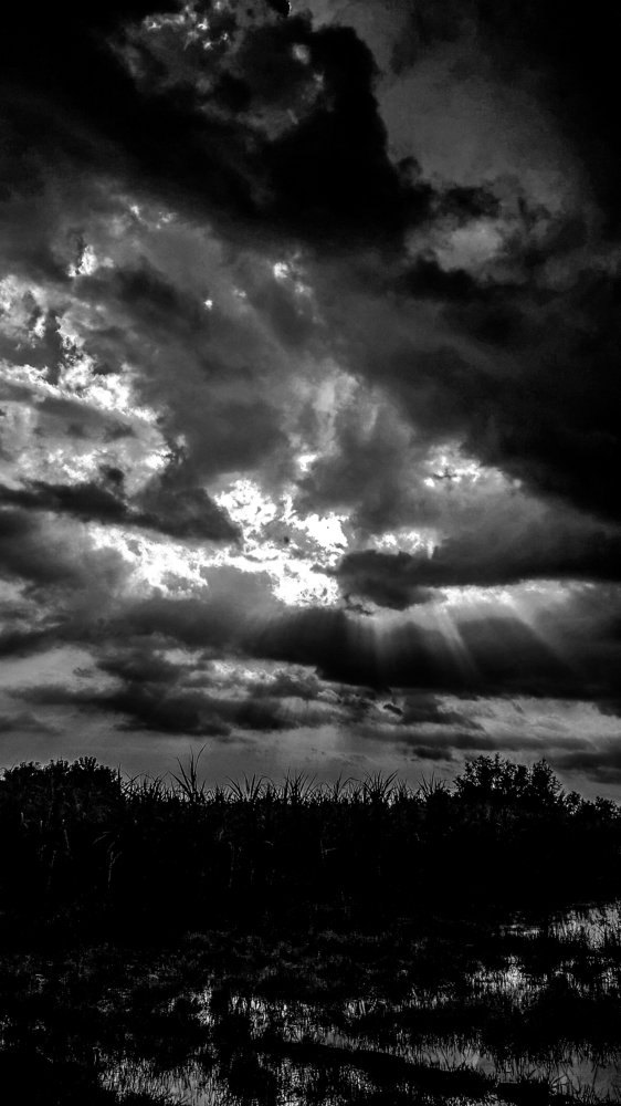 Rays from heaven