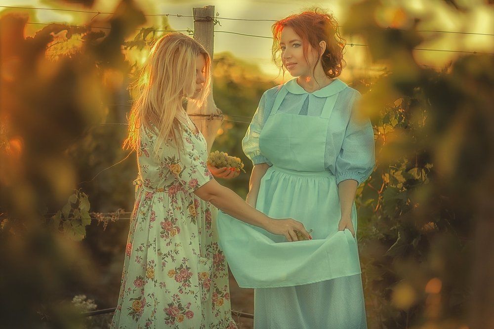 Сбор винограда