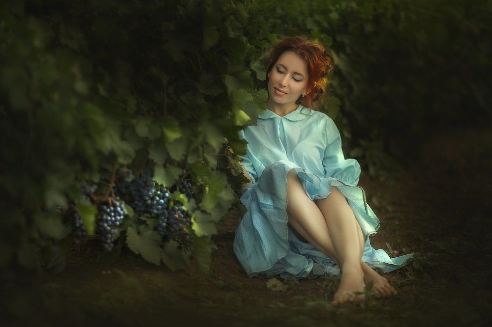 Сбор винограда