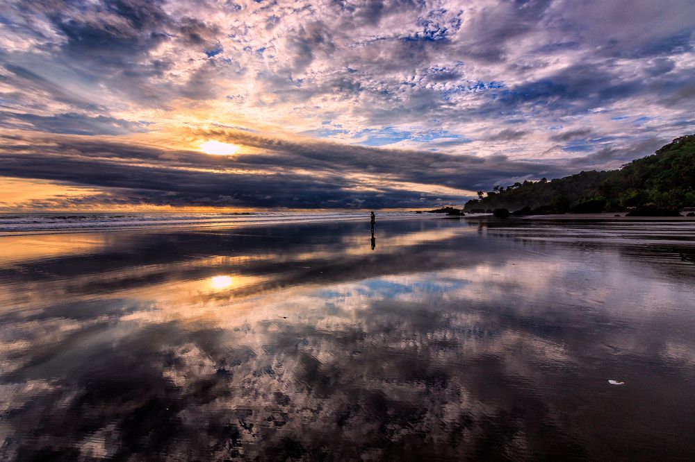 Reflejos de la selva