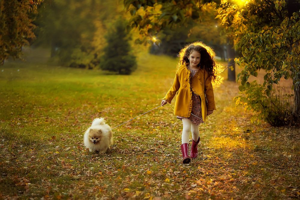 Золотая осень