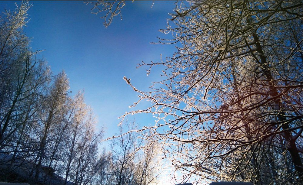 Photograph by Елена Юрьевна