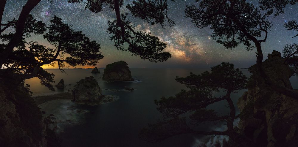 В сосновом обрамлении (In pine decoration)