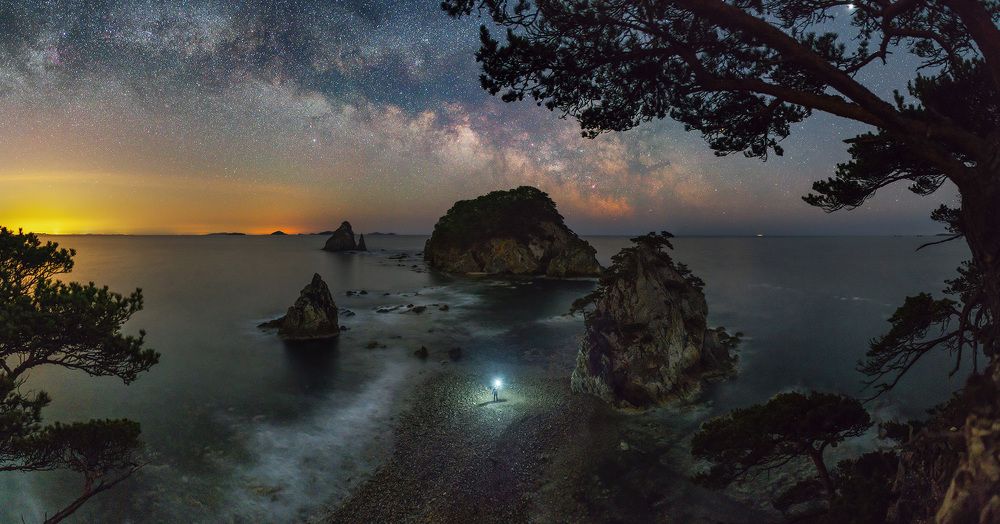 Затерянный мир (The Lost World)