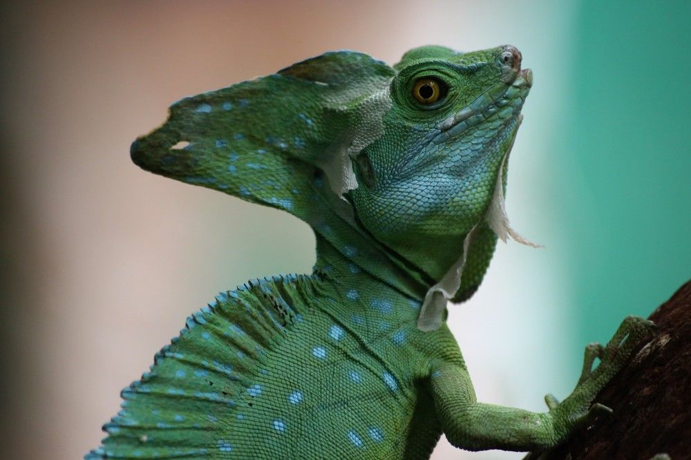 Photograph by Andrey Kuznetsov