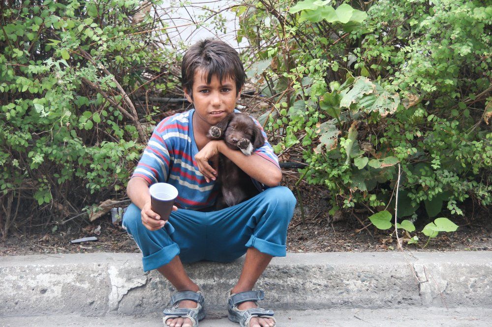 Портрет болгарского цыганенка