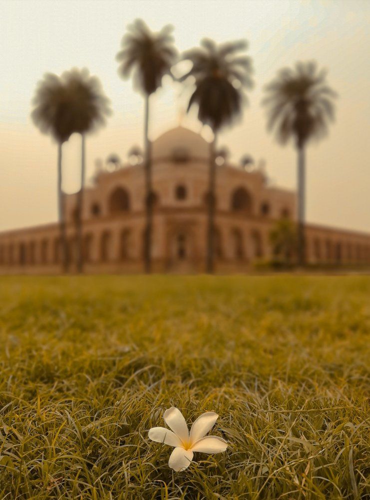 Honor7x