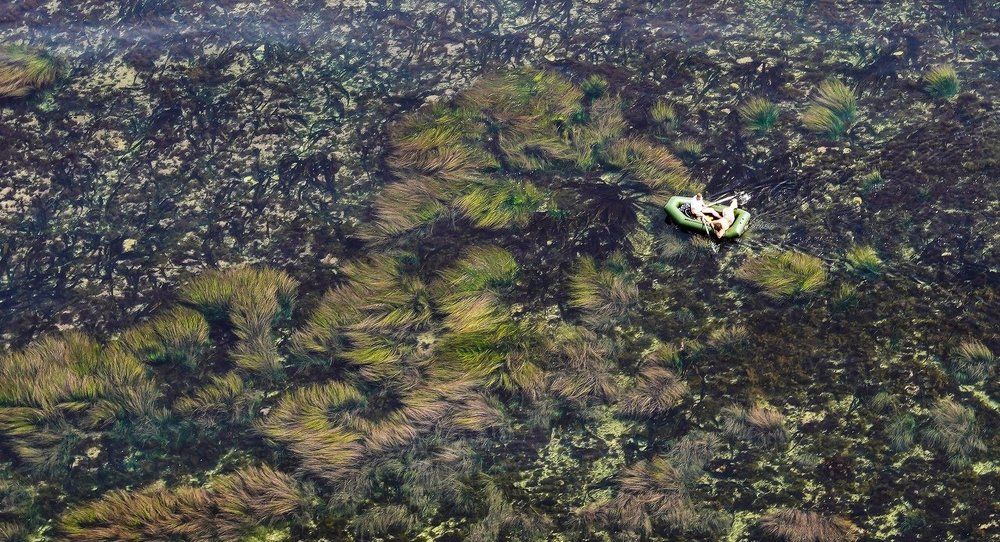 Photograph by Антонов Алексей