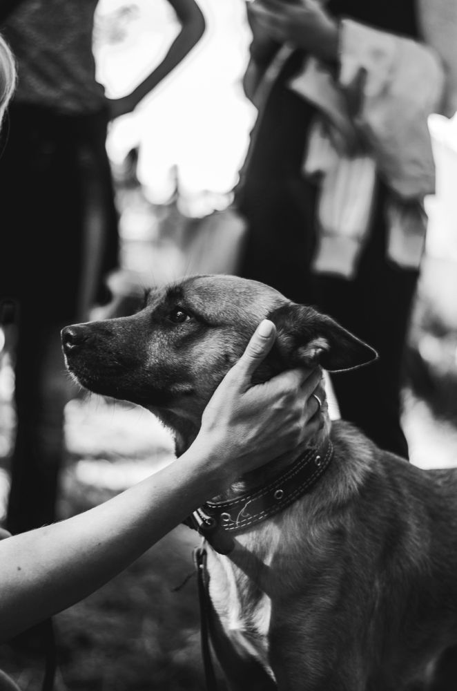 В поисках своего человека.