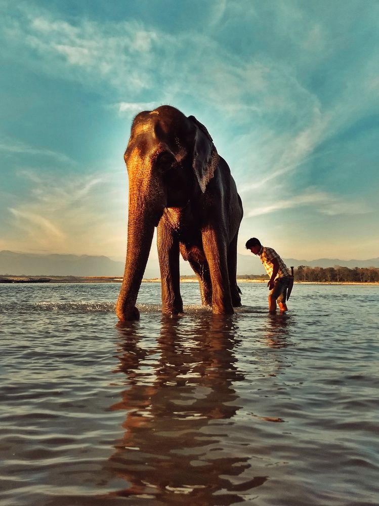 GREAT MASTERPIECE OF NATURE