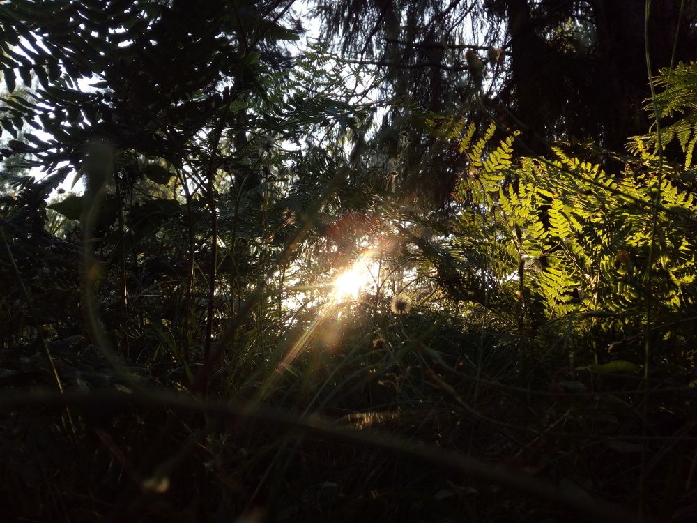 Mini world