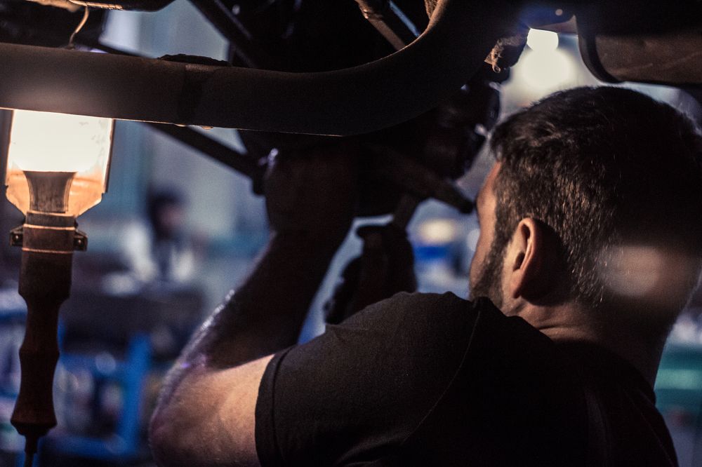 Photograph by Фогилев Владимир