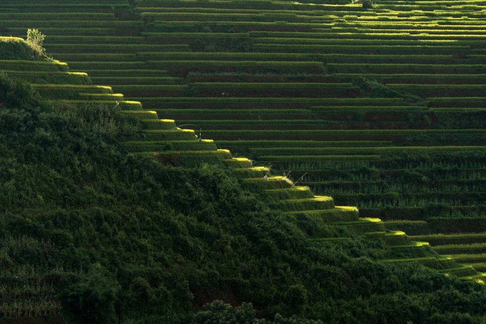 Photograph by Hoang Manh