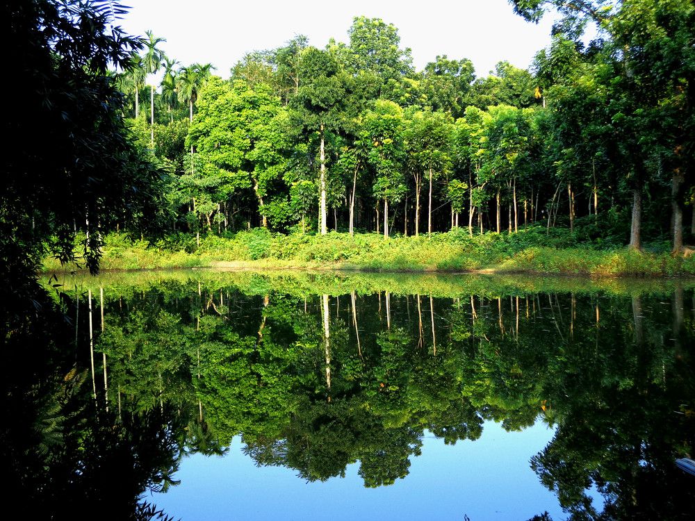Tranquility