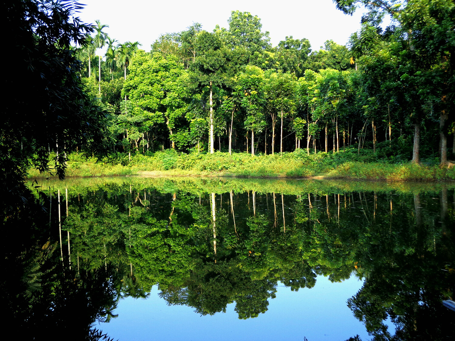 Tranquility