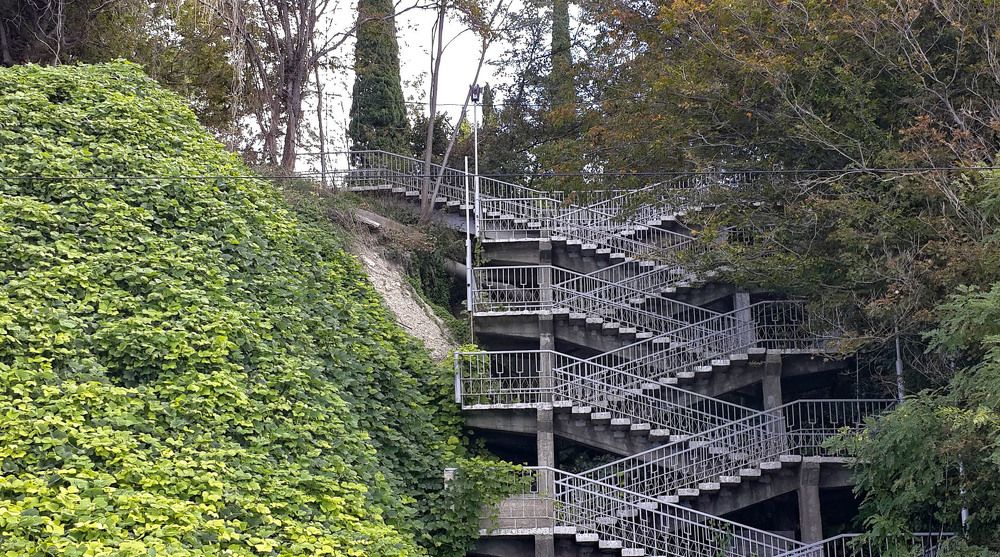 Ступени долголетия