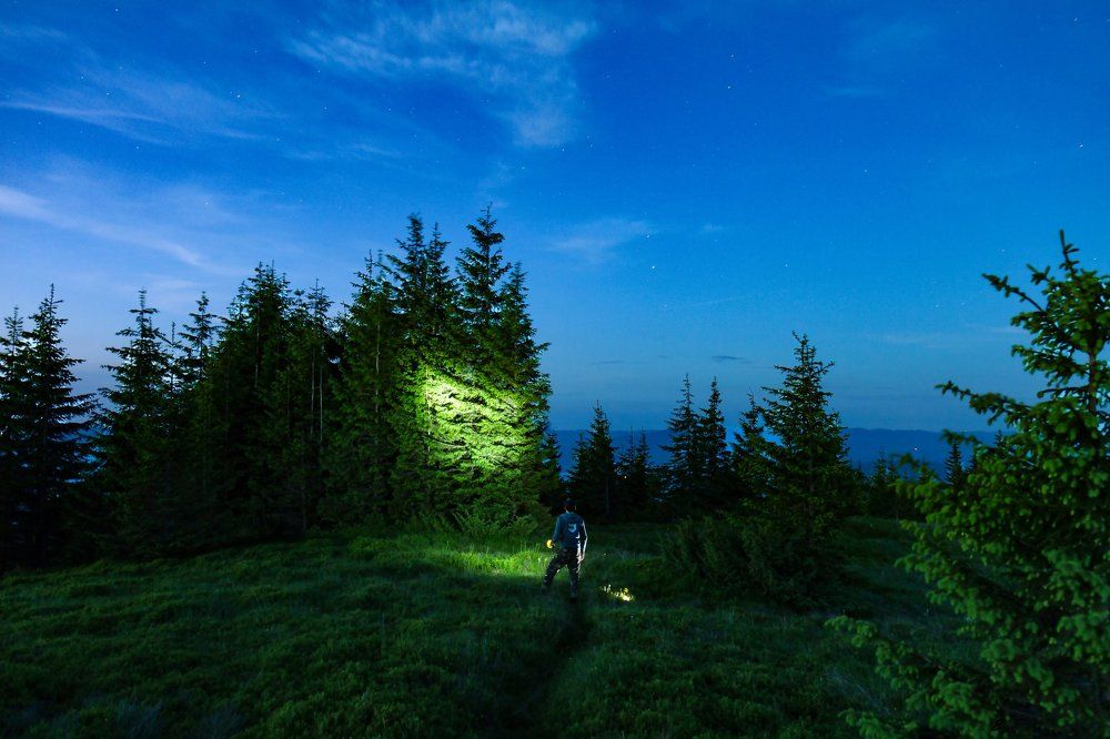 В поисках вчерашнего дня.