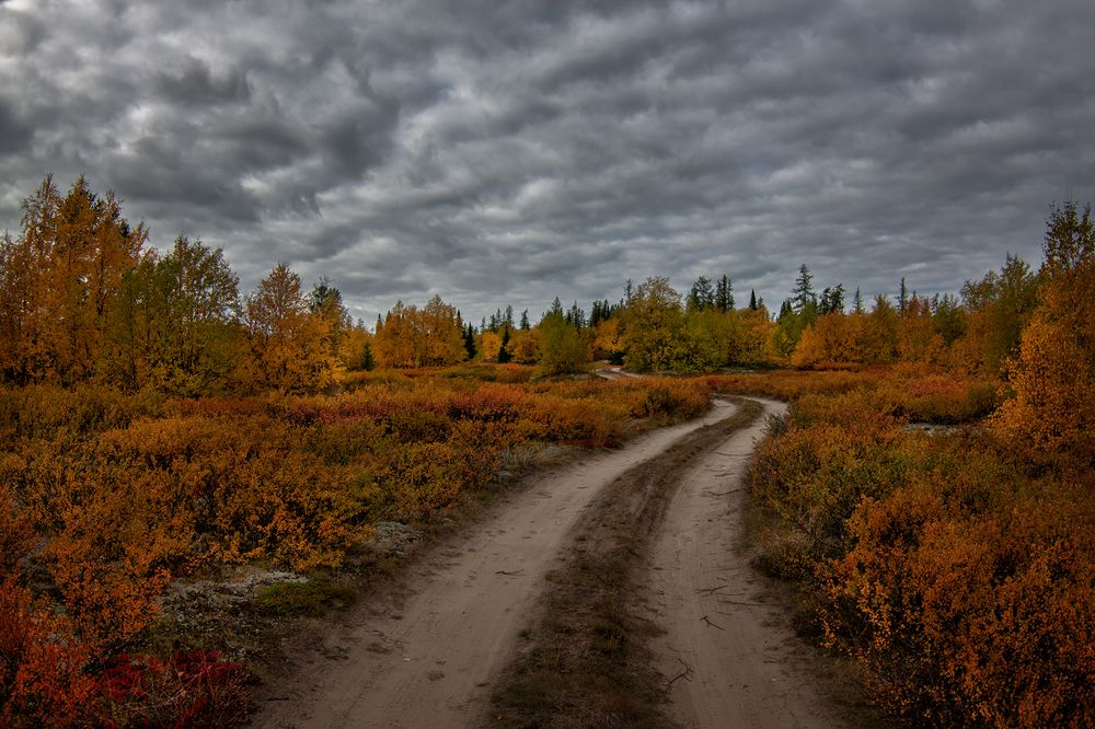 Осень на Севере