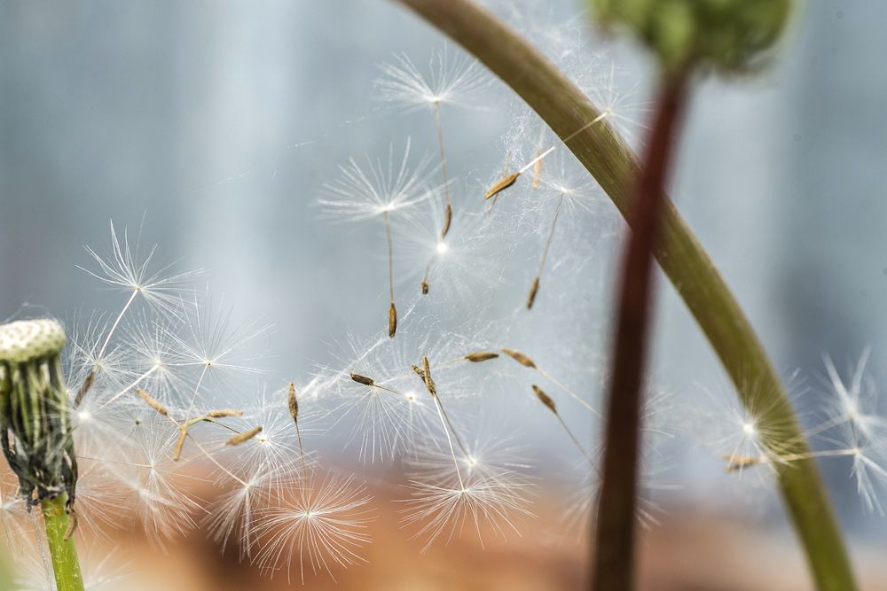 Запутались