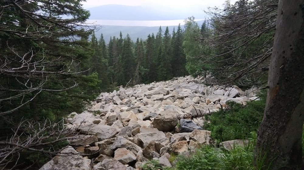 Photo #2599384