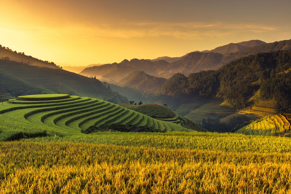 the autumn on Raspberry hill