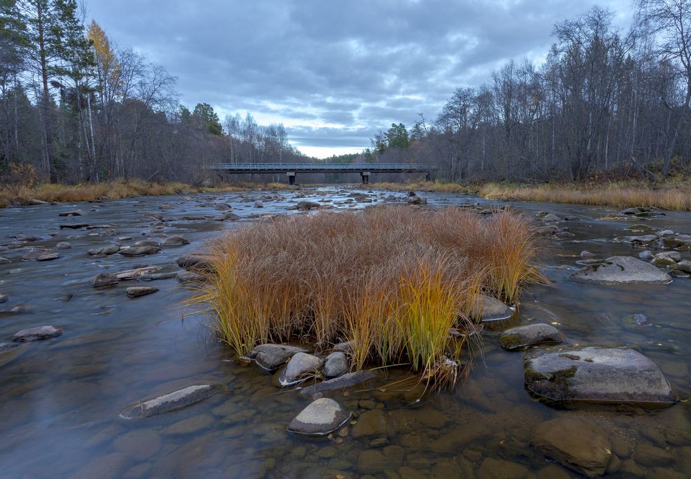 Речка Рудиковка