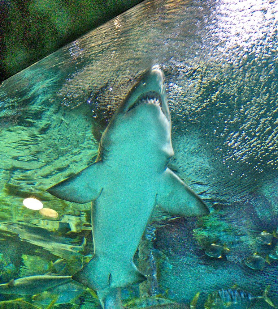 Photograph by Егор Охрименко