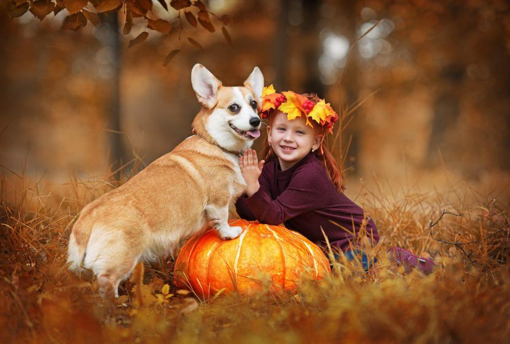 Photograph by Анастасия Есаулова