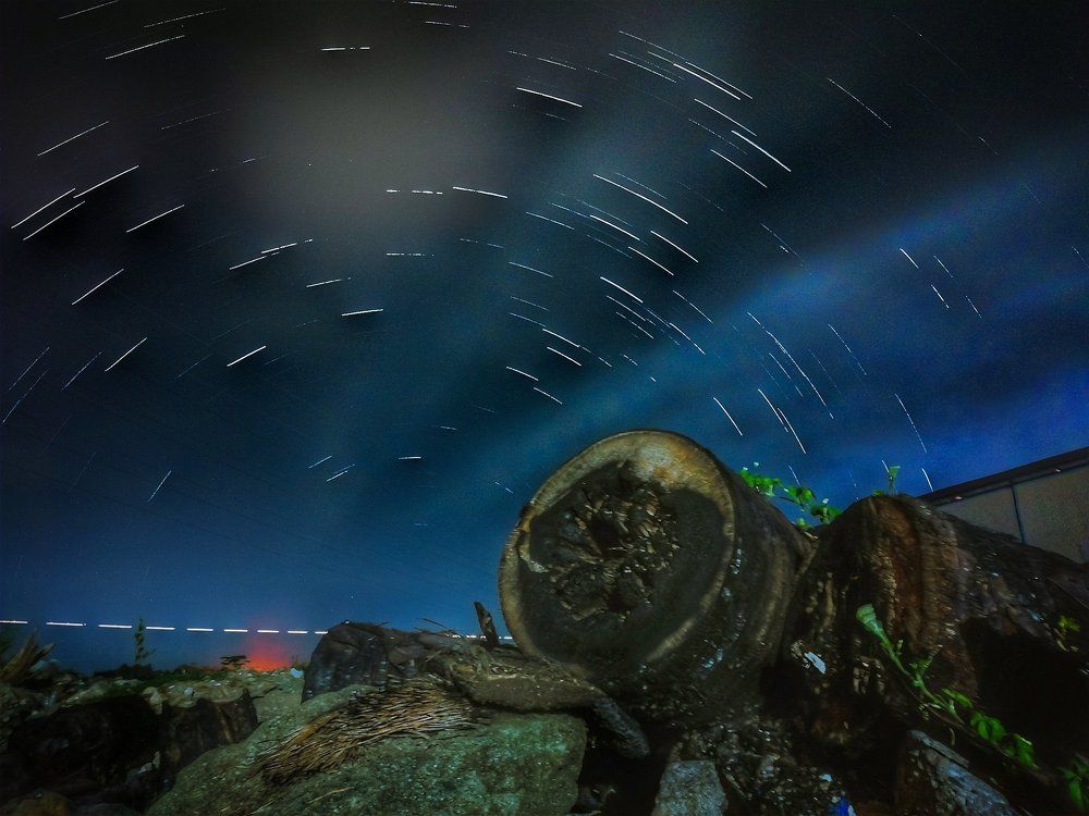 chunks of cut and star stems